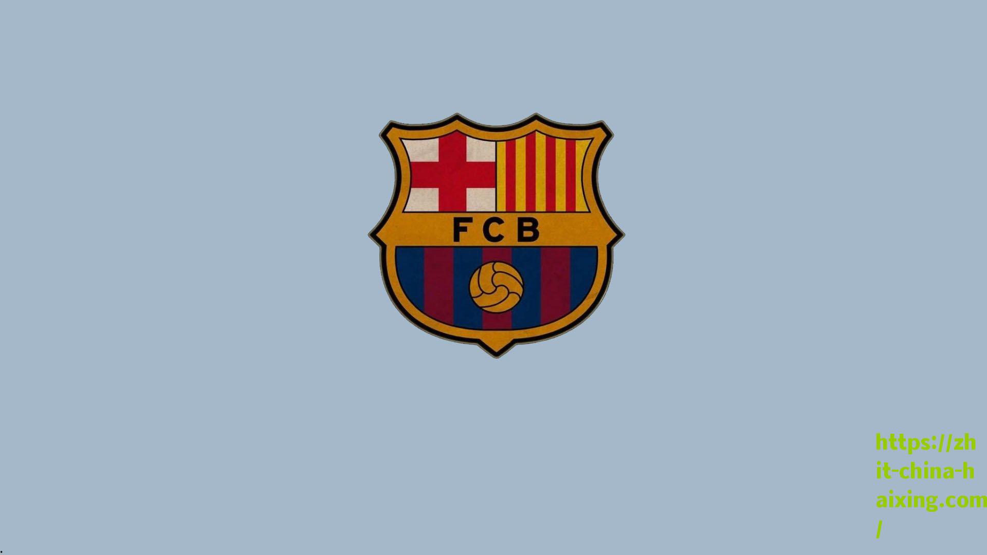 冰雪青春梦飞扬，都灵大冬会开幕式中国代表团旗手闪耀成长舞台