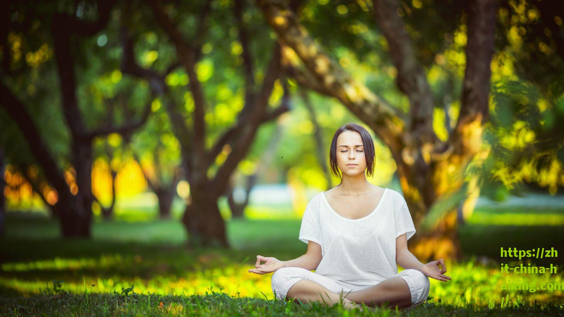 建业官宣波黑铁卫舒尼奇正式加盟 国安为他人做嫁衣引深思